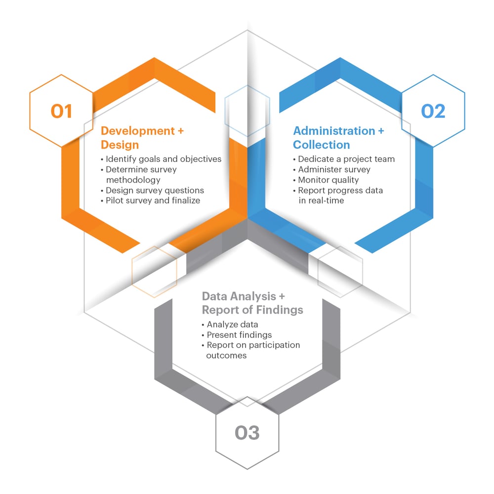 Survey solutions process workflow
