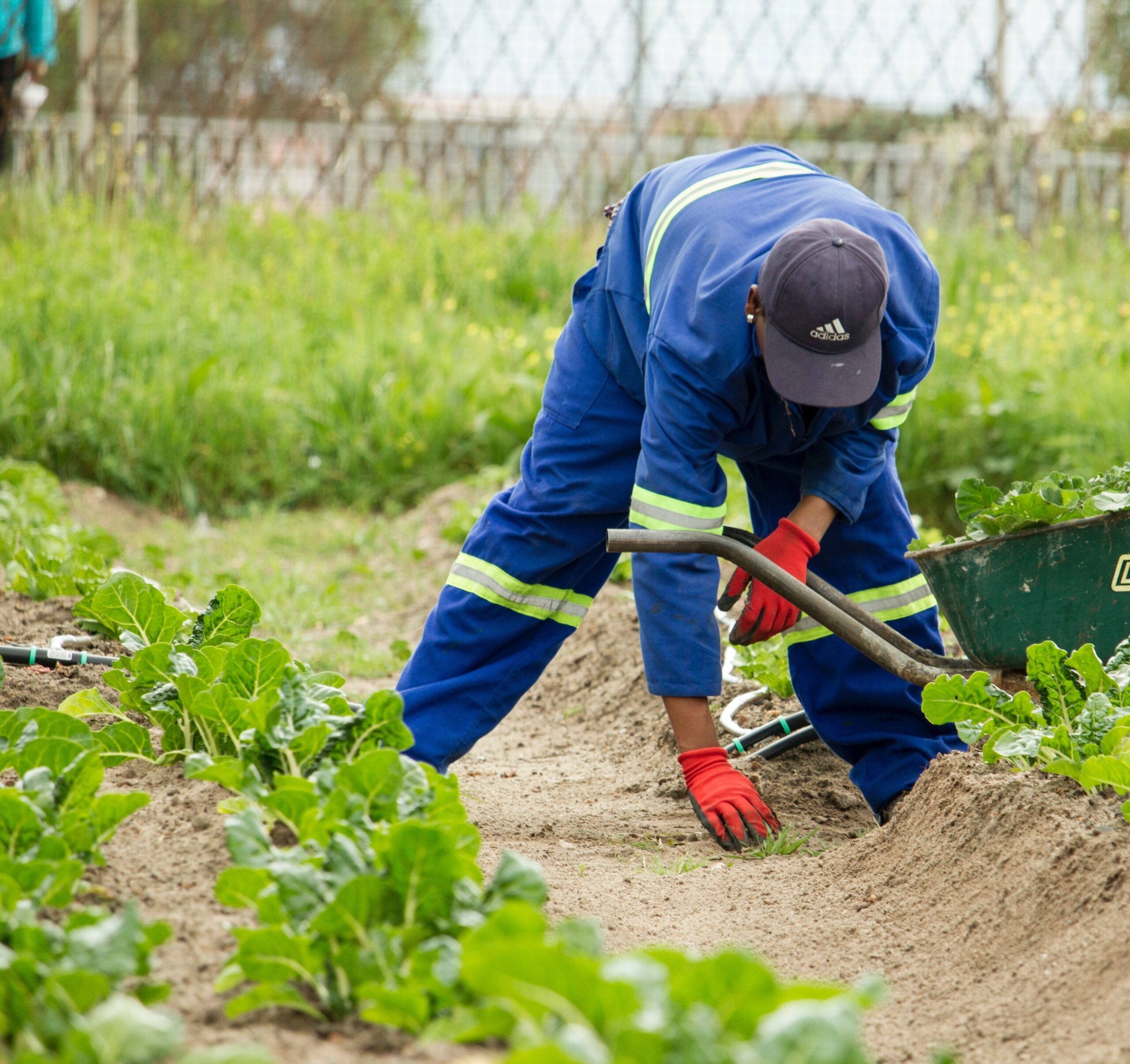 Arizona Contract Helps Launch Homeless Workforce Program